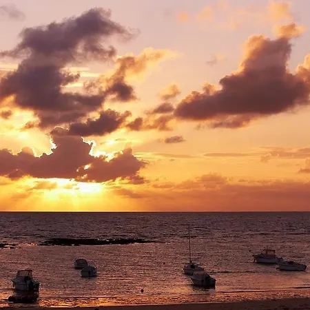 L'estivant Sur L'océan